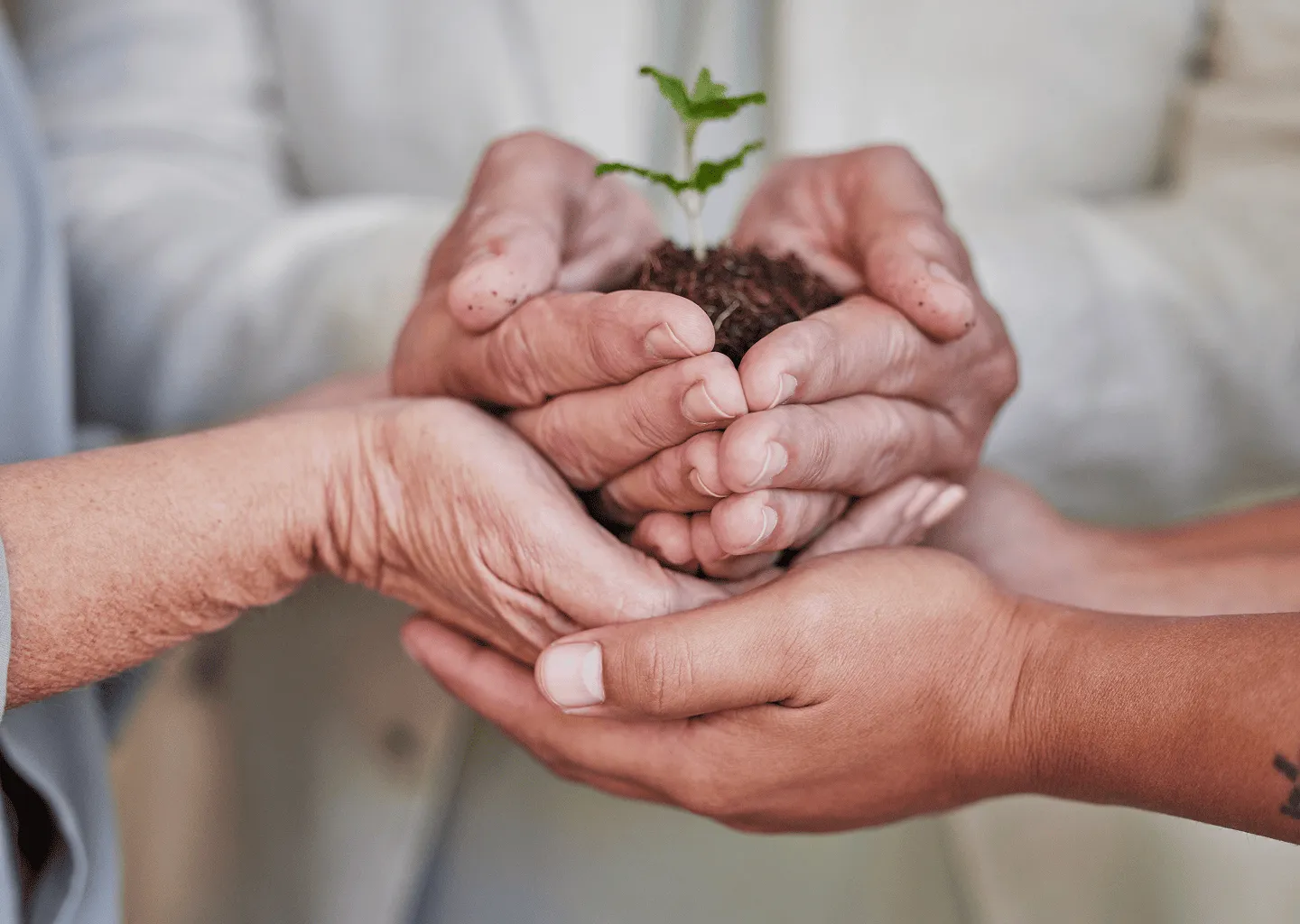 Un modelo de negocio único y  en expansión